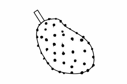 分享几张关于榴莲的简笔画