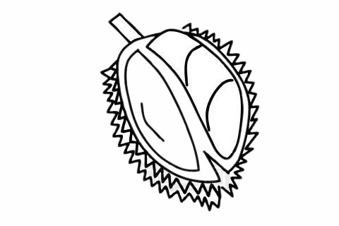 分享几张关于榴莲的简笔画