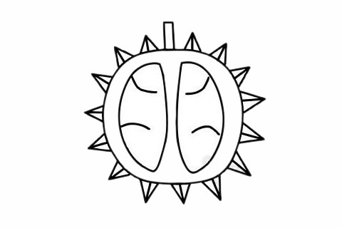 分享几张关于榴莲的简笔画