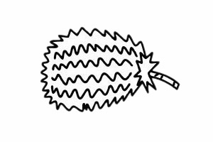 非常简单的榴莲简笔画