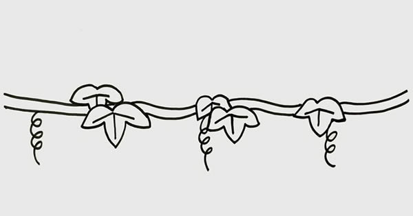 葡萄树上挂着葡萄的简笔画