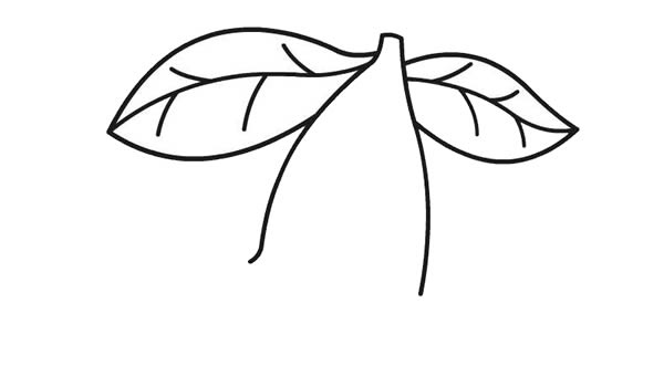 美味的樱桃简笔画步骤