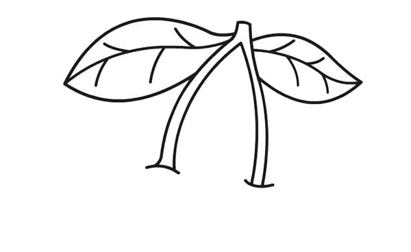 美味的樱桃简笔画步骤