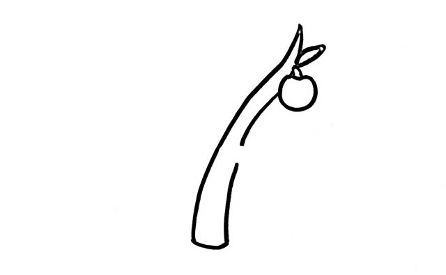 挂满树枝的苹果简笔画