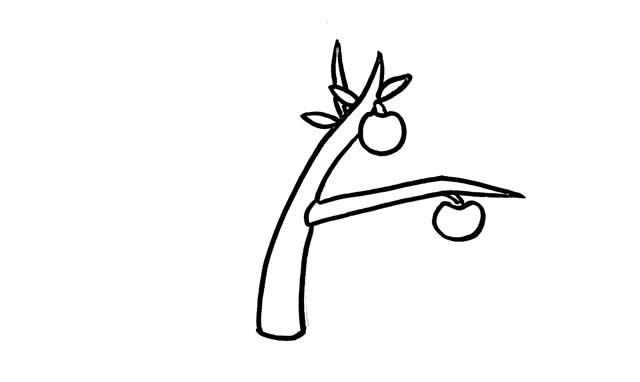 挂满树枝的苹果简笔画