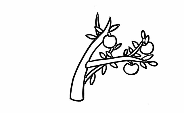 挂满树枝的苹果简笔画