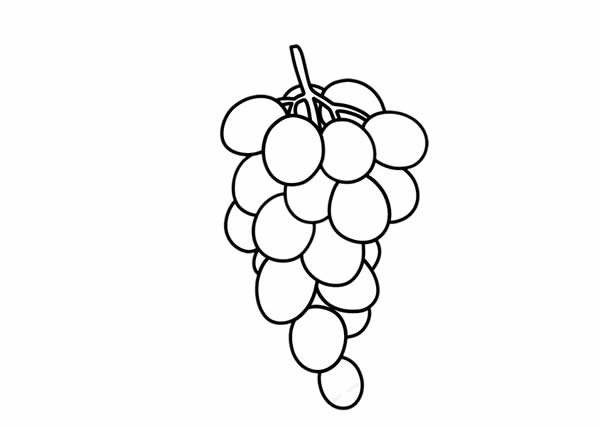 一串紫葡萄怎么画