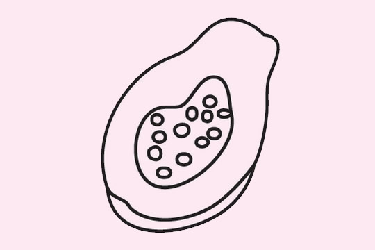 分享几幅关于木瓜的简笔画