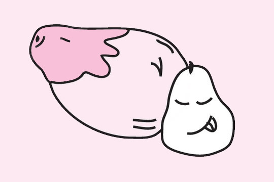 分享几幅关于木瓜的简笔画