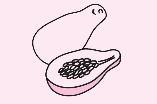 分享几幅关于木瓜的简笔画