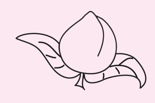 很容易画的桃子简笔画