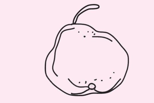 可口的香梨简笔画