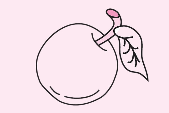 关于苹果的简笔画