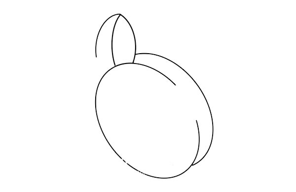 口味甘甜的李子简笔画步骤