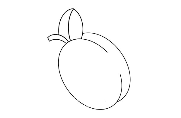 口味甘甜的李子简笔画步骤