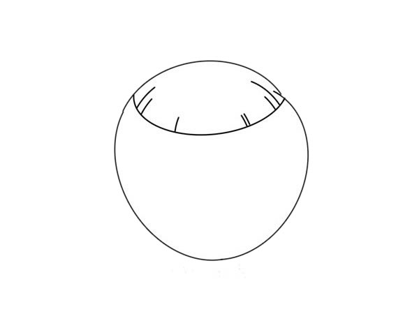 卡通的椰子简笔画