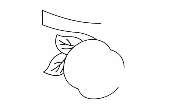挂在树上的桃子简笔画