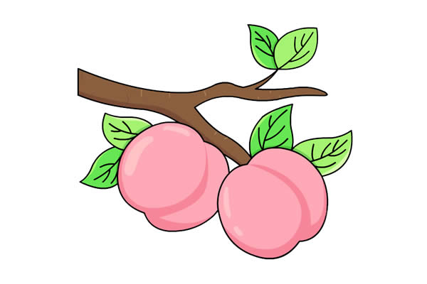 挂在树上的桃子简笔画