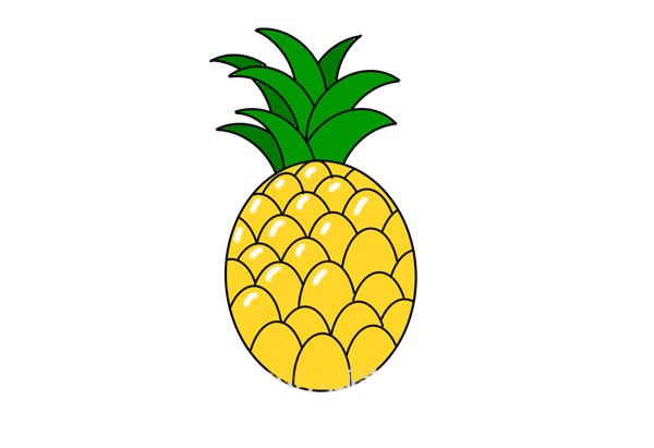 菠萝怎么画 菠萝简笔画步骤