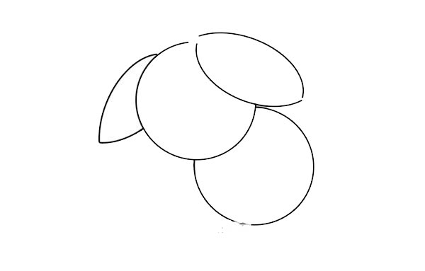 非常漂亮的荔枝简笔画