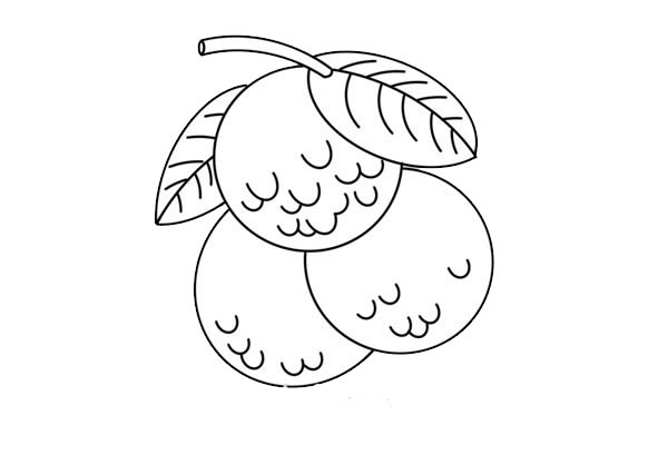 非常漂亮的荔枝简笔画