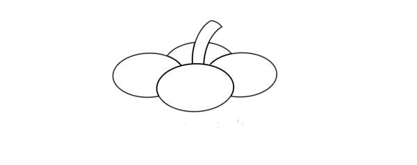 非常简单的山竹简笔画