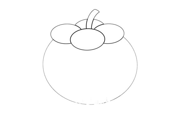 非常简单的山竹简笔画