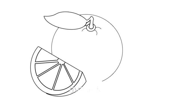 橙子怎么画 橙子简笔画步骤