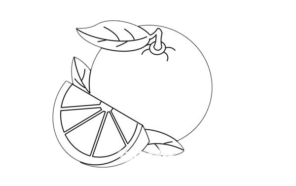 橙子怎么画 橙子简笔画步骤