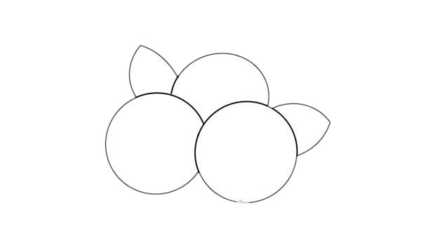 简单好看的蓝莓简笔画