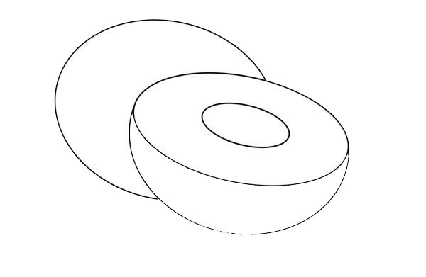 几笔就会的猕猴桃简笔画