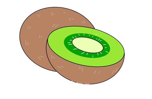 几笔就会的猕猴桃简笔画