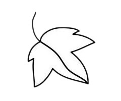 简单易学的葡萄简笔画