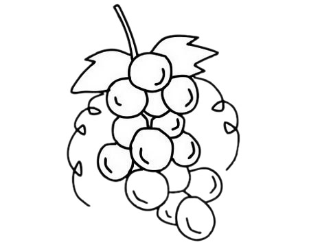 简单易学的葡萄简笔画