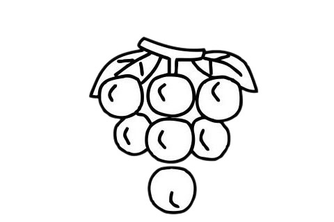 简单易学的葡萄简笔画