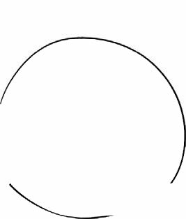 简单的卡通椰子简笔画