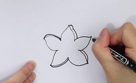 杨桃怎么画 杨桃简笔画的步骤