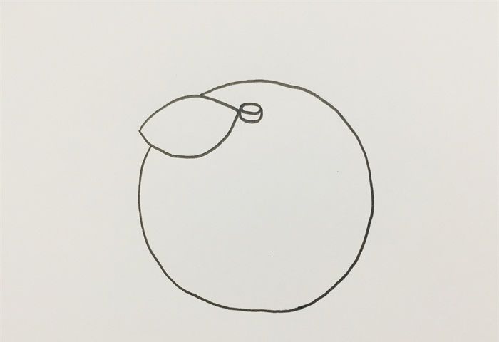 橘子的画法