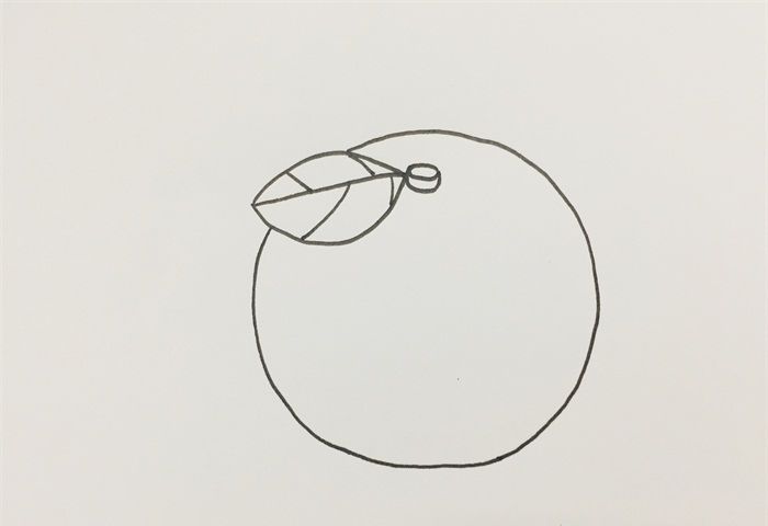 橘子的画法
