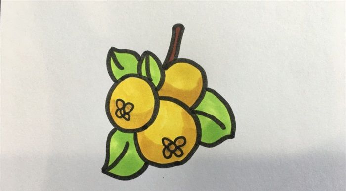 怎样画枇杷
