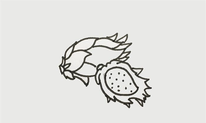 火龙果怎么画