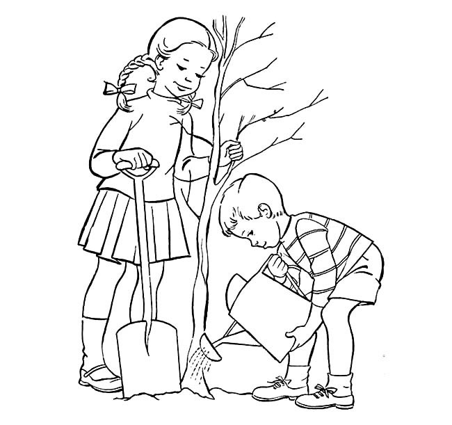 植树节浇水种树的简笔画