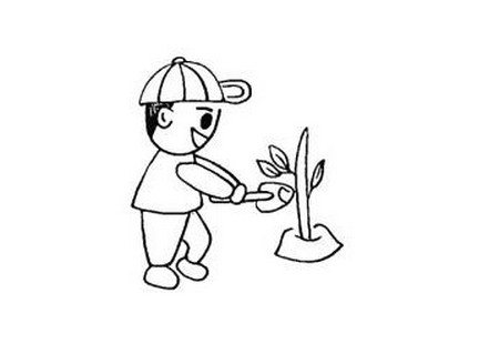 植树节儿童简笔画详细步骤