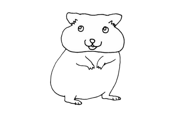 可爱的龙猫简笔画步骤 可爱的龙猫简笔画步骤