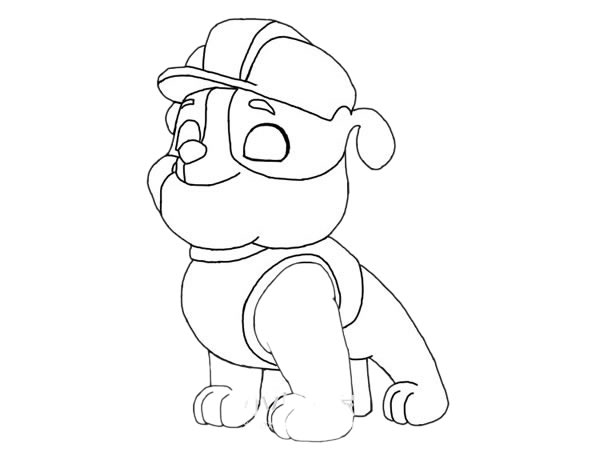 汪汪队立大功小砾简笔画步骤