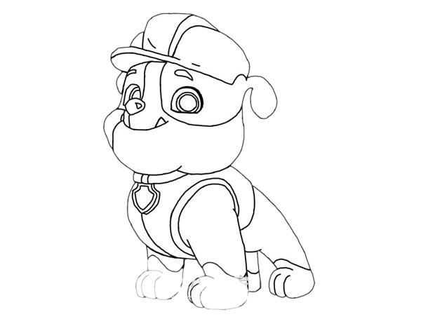 汪汪队立大功小砾简笔画步骤