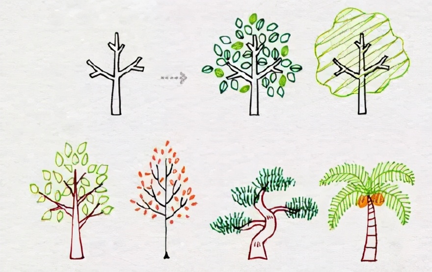 树的画法（从基础到高级）