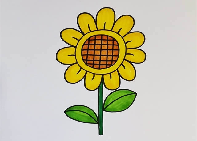 漂亮涂色的向日葵简笔画教程 漂亮涂色的向日葵简笔画教程