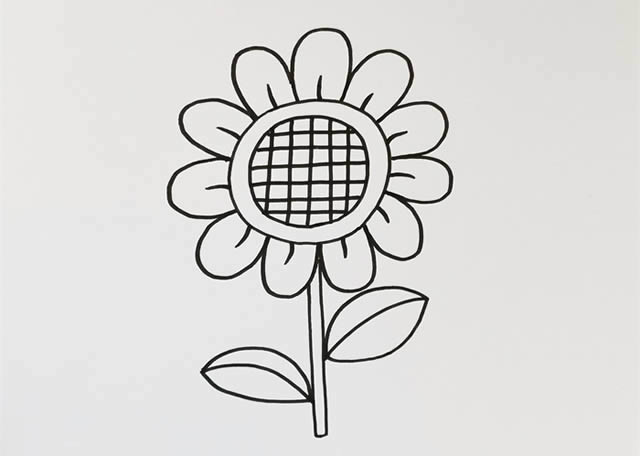 漂亮涂色的向日葵简笔画教程 漂亮涂色的向日葵简笔画教程