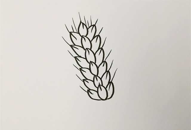 儿童学画麦穗简笔画的画法